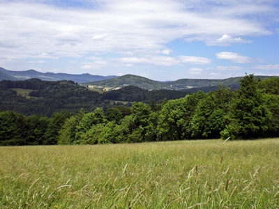 Dammersfeld-Rhn, die Berge bei Wildflecken rund um das Dammersfeld