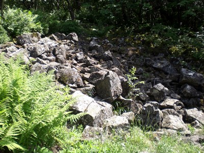 Basaltblockhalden in der Rhn