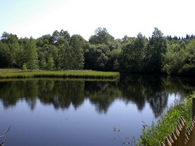 Stausee im Roten Moor in der Rhn