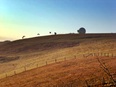 Gleitschirmflug an der Wasserkuppe