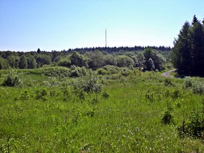 Heidelstein vom Roten Moor aus