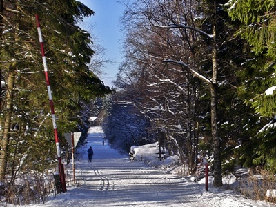 gespurte Loipen in der Rhön