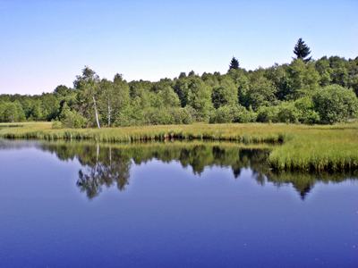 Moorsee im Roten Moor