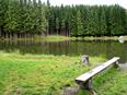 Rothsee am Bauersberg