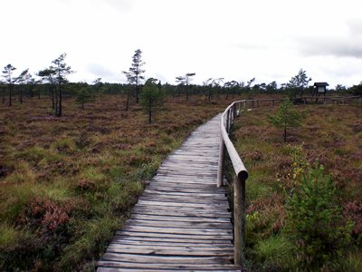 Schwarzes Moor in der Rhn