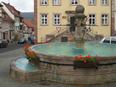 Tann in der Rhn